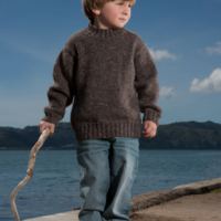Lisa F Design Leaflet LF20 - Liquorice Twist Sweater