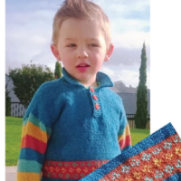 Countrywide P265 - Bernina Northland