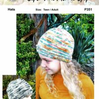 Countrywide P351 - Bernina Northland