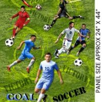 World Cup Mens Soccer Football Panel