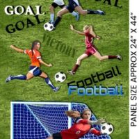World Cup Womens Soccer Football Panel