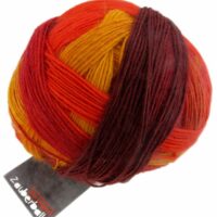 Schoppel Wolle Zauberball