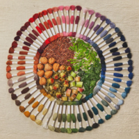 DMC Eco Vita Naturally Dyed Organic Merino Wool