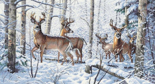 Dimensions Gold Collection - Woodland Winter