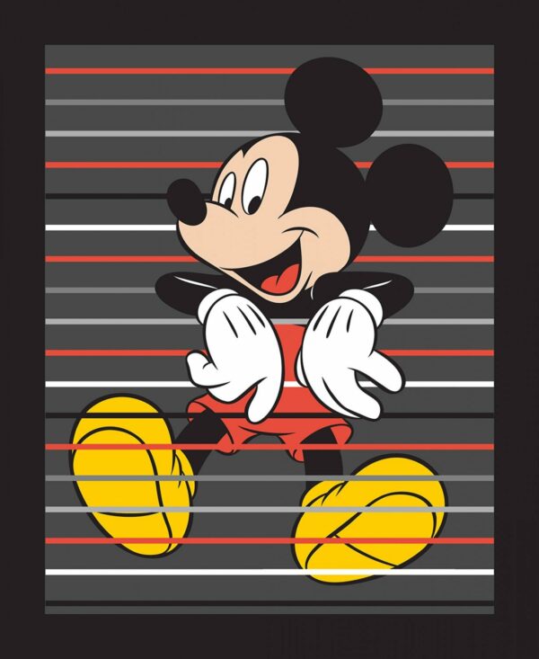 Mickey Panel