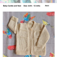 Countrywide P411 - Bernina Northland